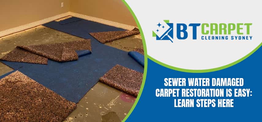 sewer water damaged carpet restoration service